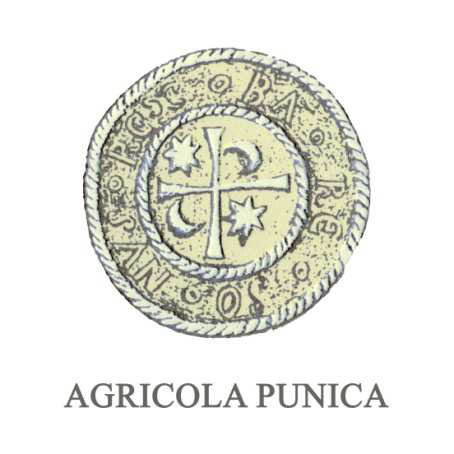 Agricola Punica 