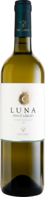 Вино - Pinot Grigio Luna IGT