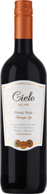 Вино - Pinot Noir, Cielo e Terra, Veneto IGT